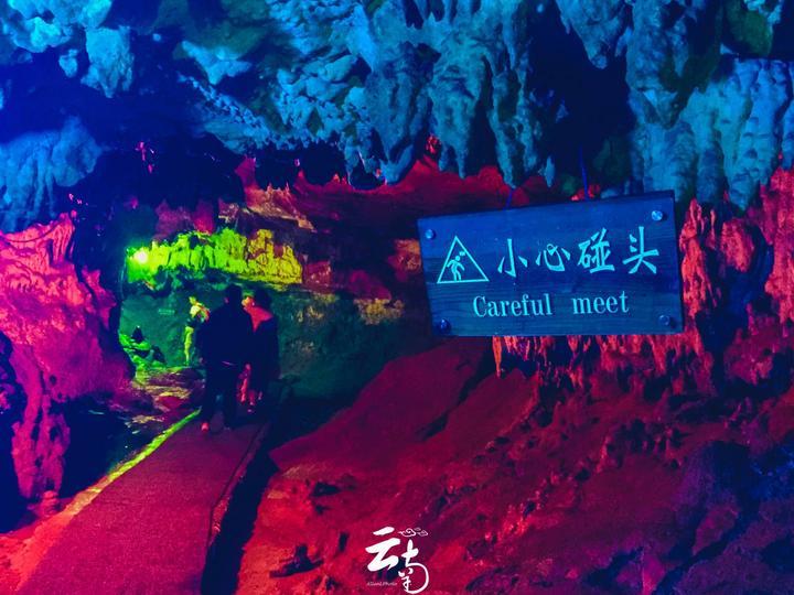 爱吃叶子的毛毛虫